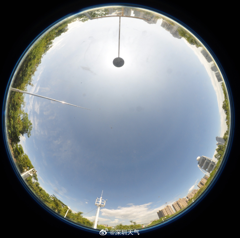 A screenshot of an investor's trading history, showing purchases of gold ETFs during the price swings, reflecting retail investor behavior.