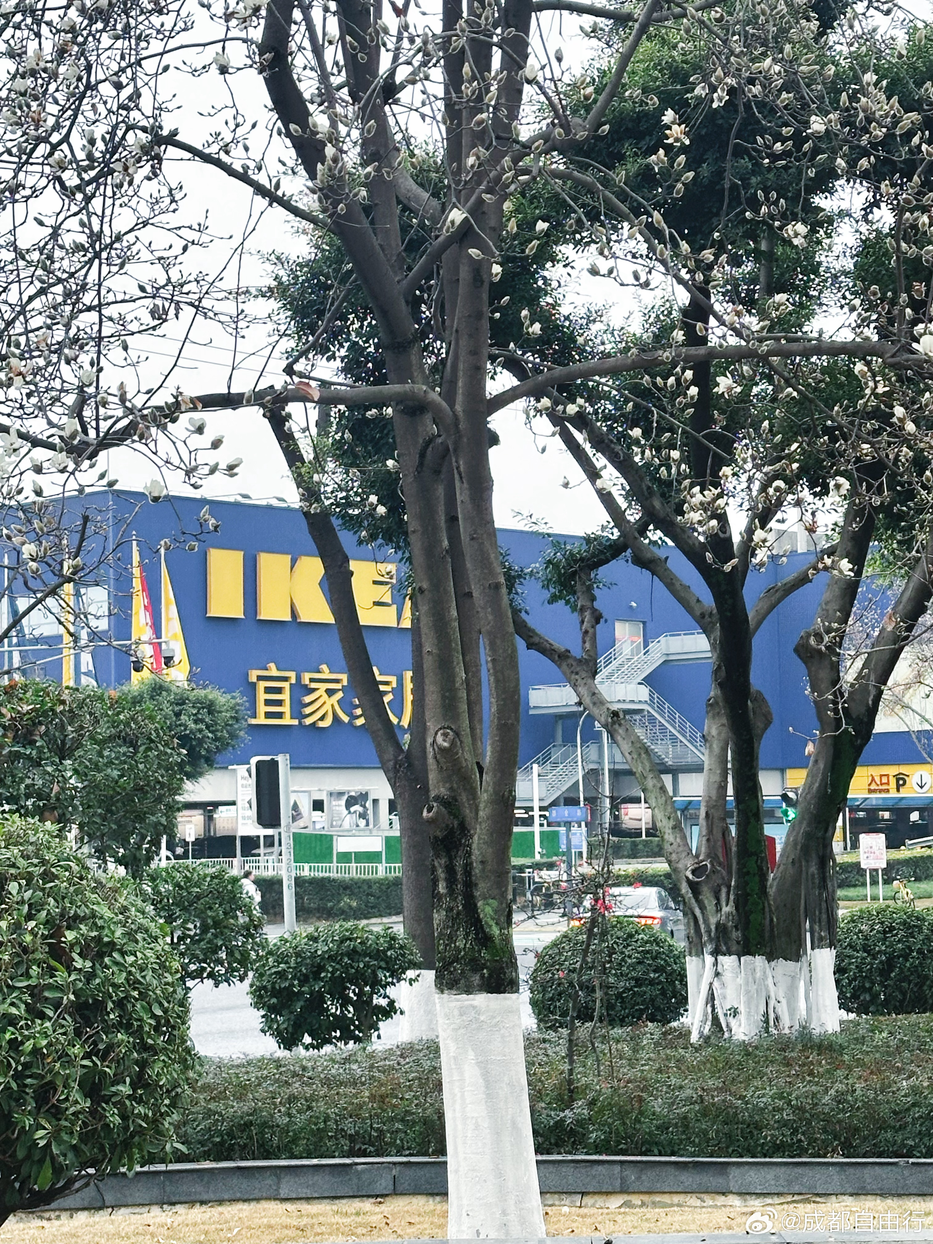 As the Lunar New Year approaches, a distinct trend is sweeping across Chinese social media: the search for gifts that not only please the recipient but also carry auspicious meanings for the upcoming Year of the Horse. This year, the focus is on presents that symbolize good fortune, prosperity, and a fresh start, reflecting a blend of traditional symbolism and modern consumer preferences.