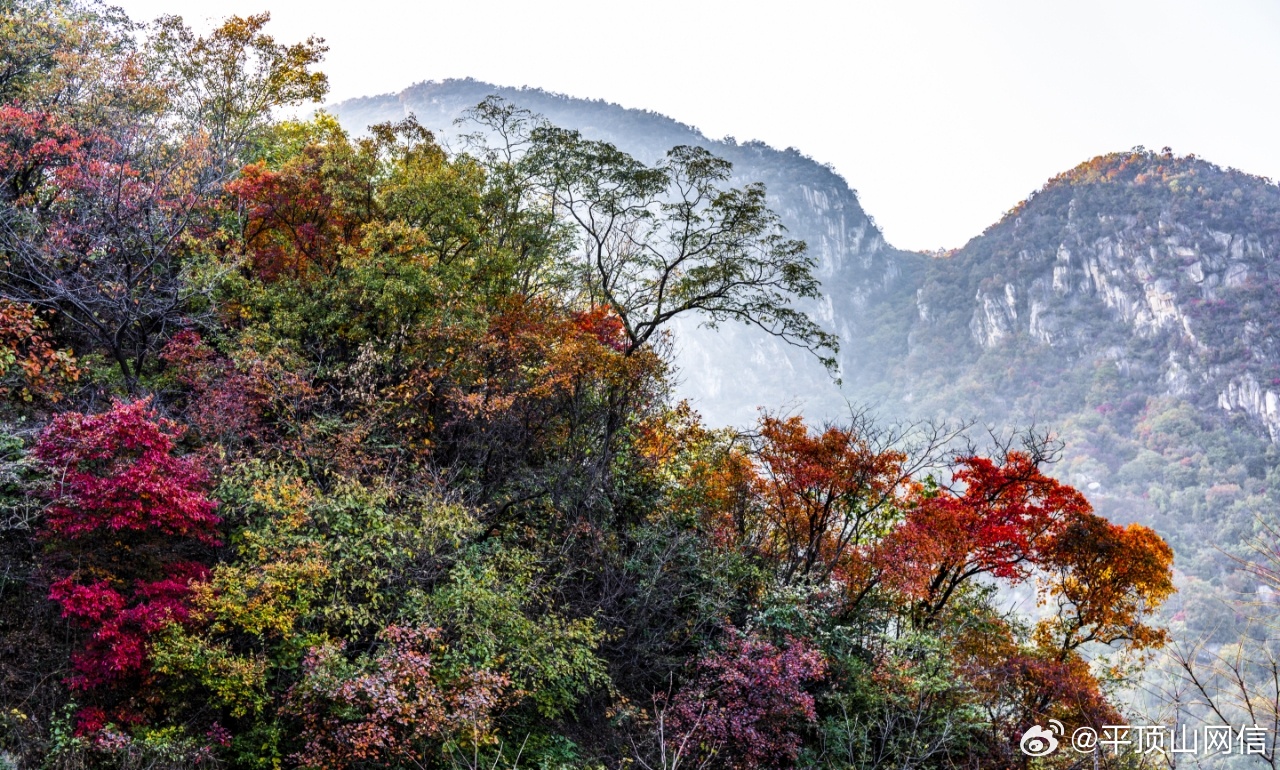 2023 Mid-Autumn Festival Travel in Numbers: A Record-Breaking Holiday Season for China