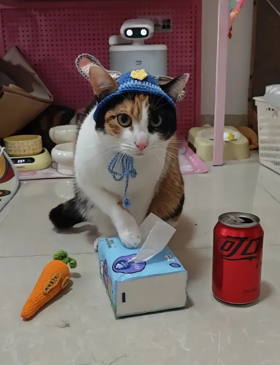 A viral meme featuring a cat choosing between a carrot toy and a tissue box has evolved into a human-level challenge, sparking widespread humor and commentary online.